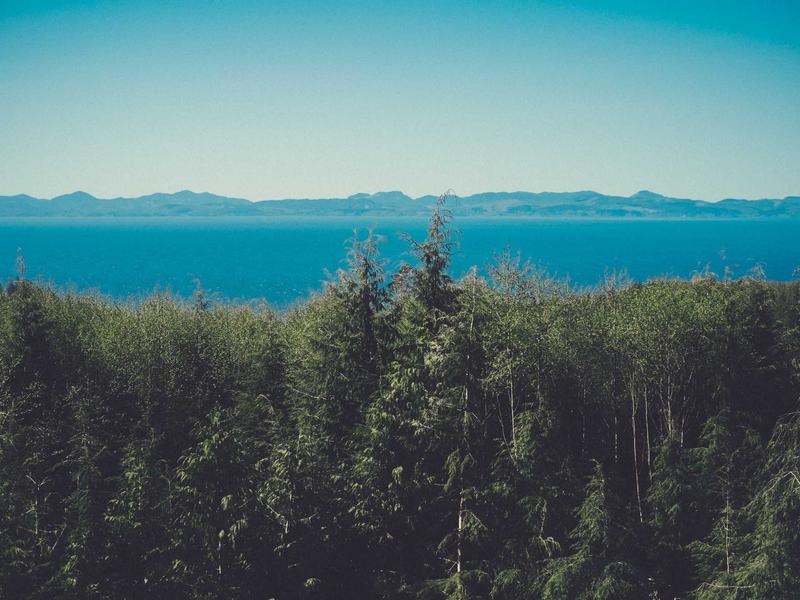 账号密保换绑<br>邮箱手机安全过户防找回流程